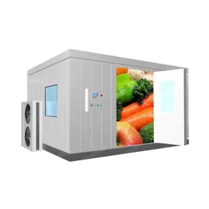 Is a Walk-In Freezer the Right Choice for Your Business?插图